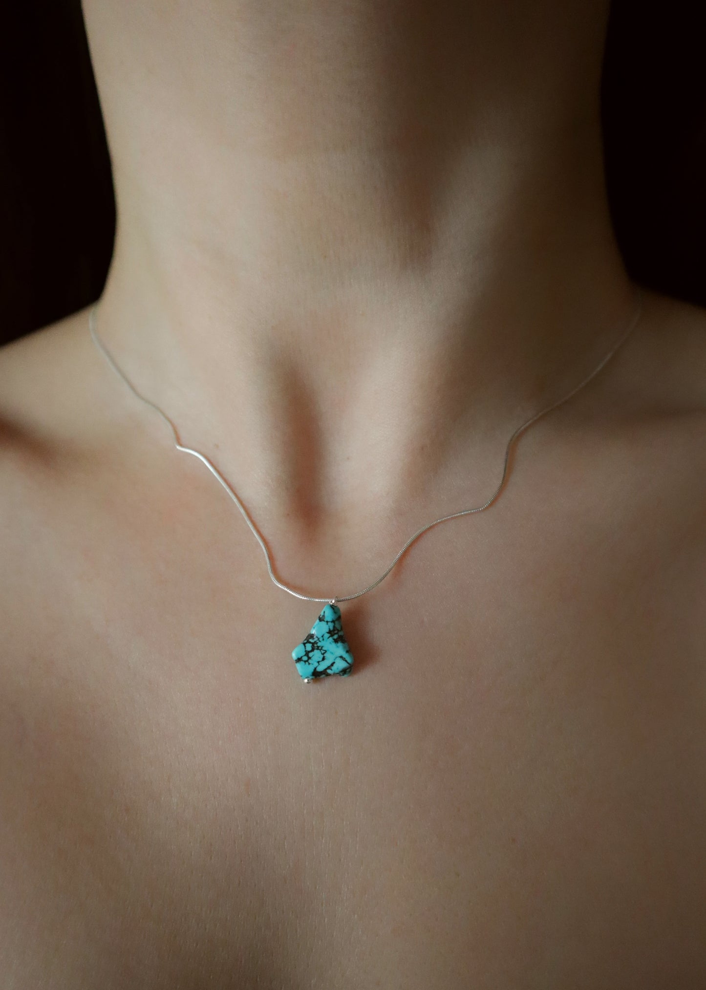 Pandora silver necklace