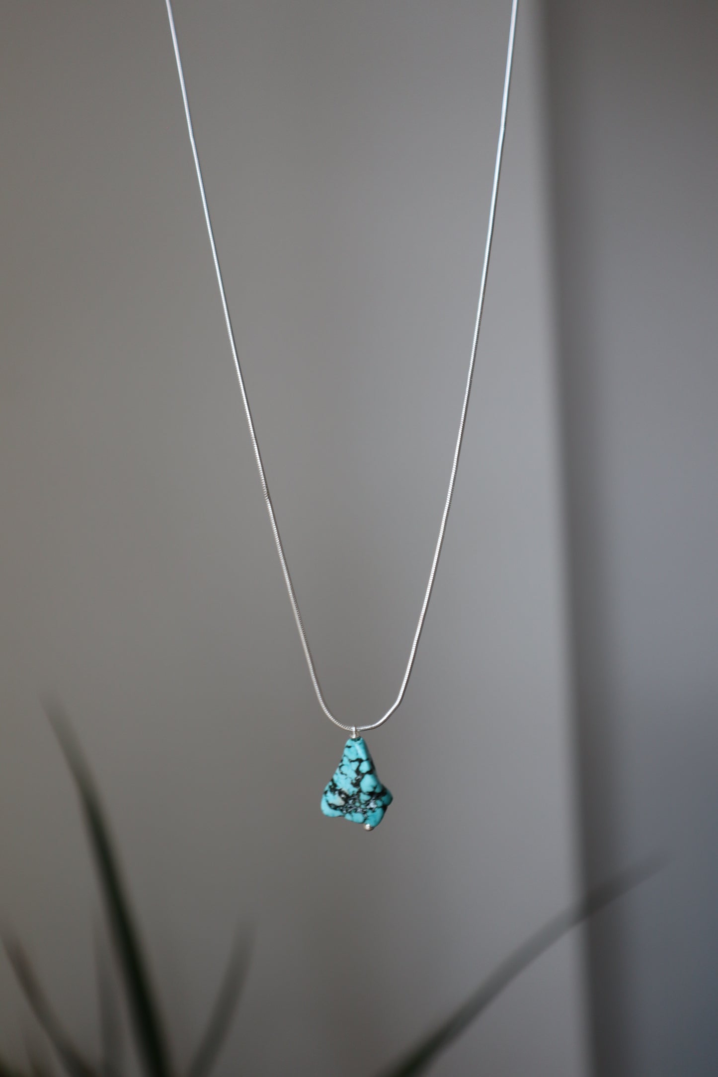 Pandora silver necklace