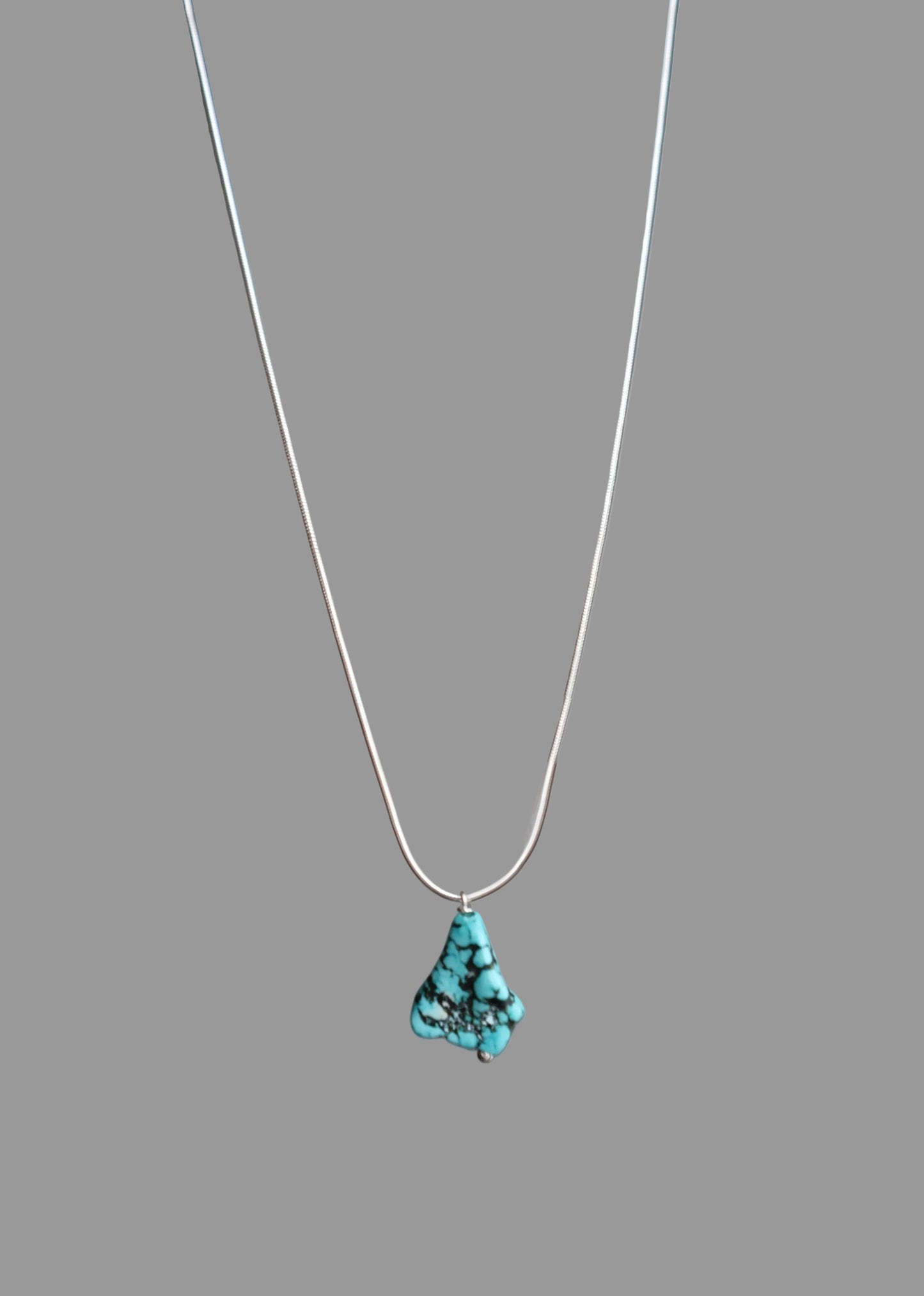 Pandora silver necklace