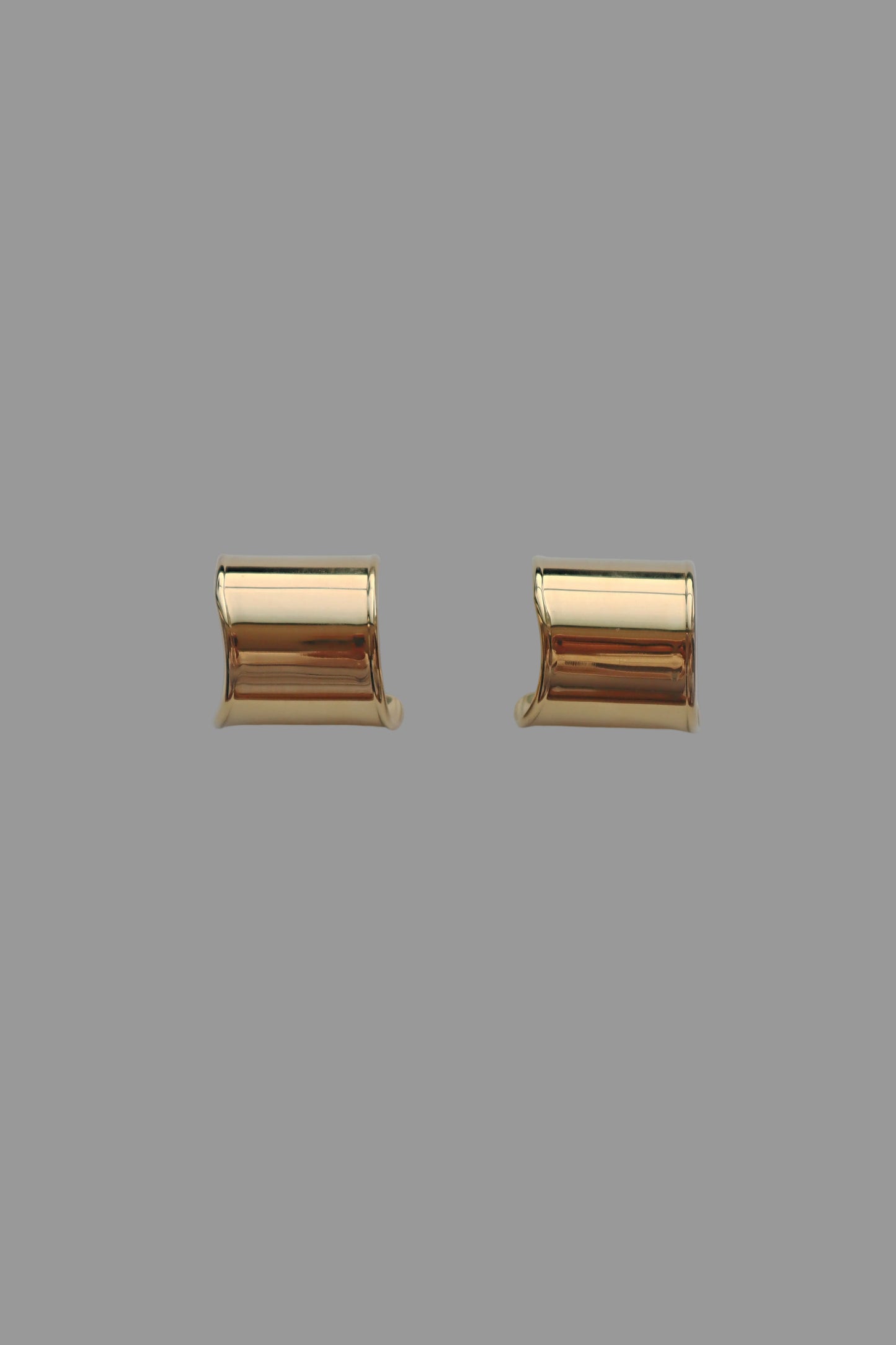 Tisha hoop earrings